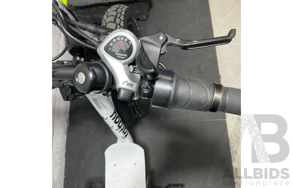 FATBOY Electric Bike