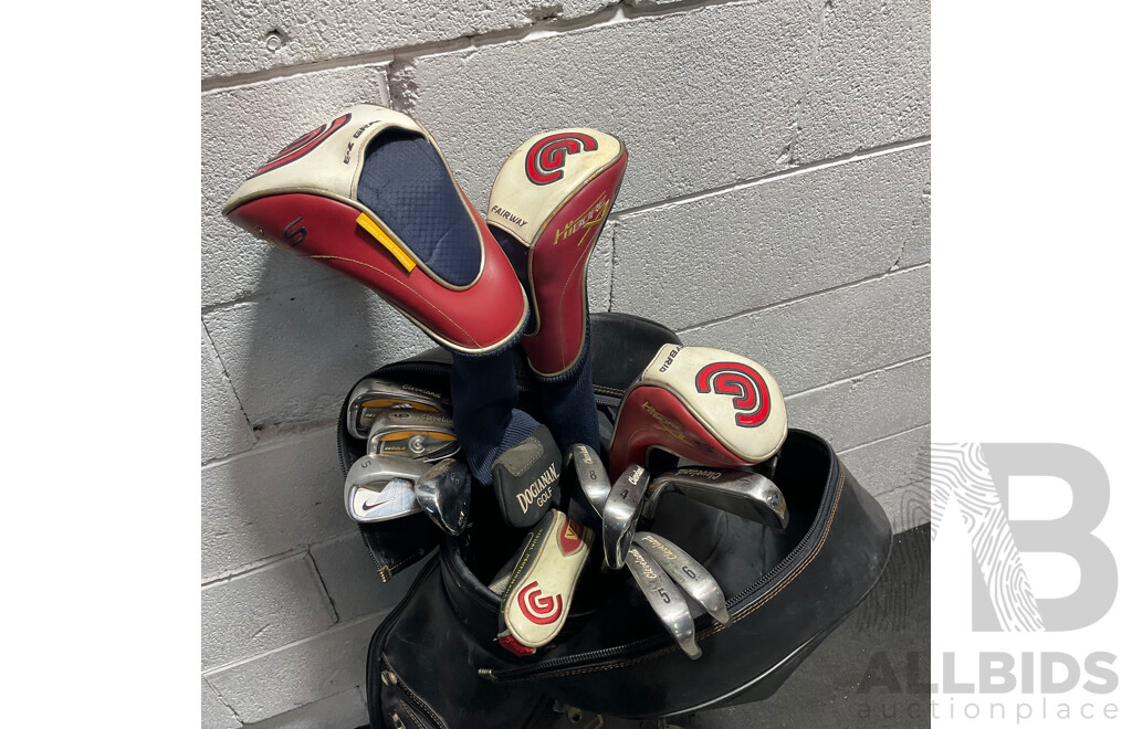 Golf Clubs with Carry Bag & Other