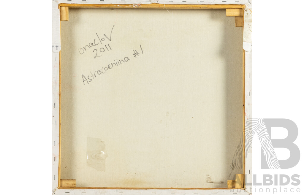 Onaclov [aka Dr Caitilin De Berigny] (20th Century, Australian), Astrocoeniina #1 (2011), Original Oil on Canvas, 51H x 51W cm