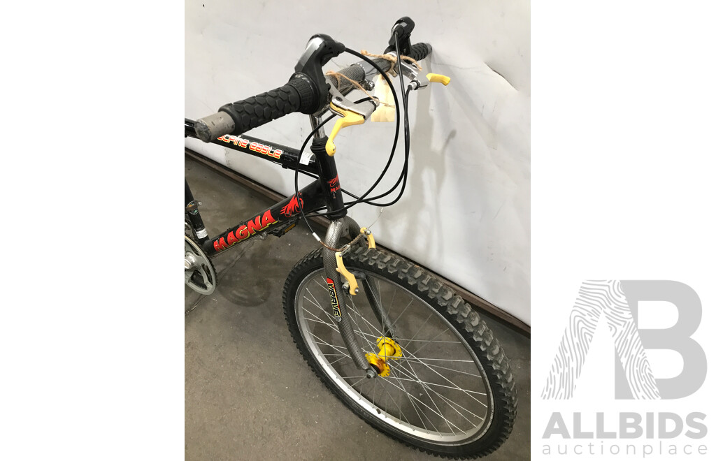 Magna Alpine Eagle 21 Speed Mountain Bike