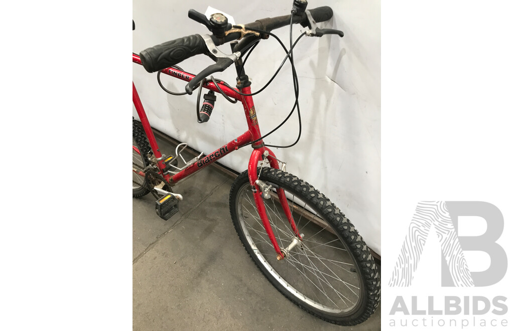 Bianchi Timber Wolf 18 Speed Mountain Bike