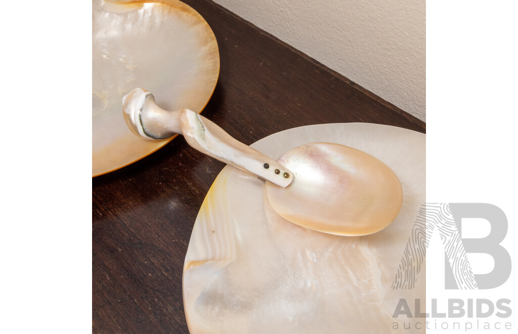 Collection of Eight South Sea Pearl Shell Plates with Ladle