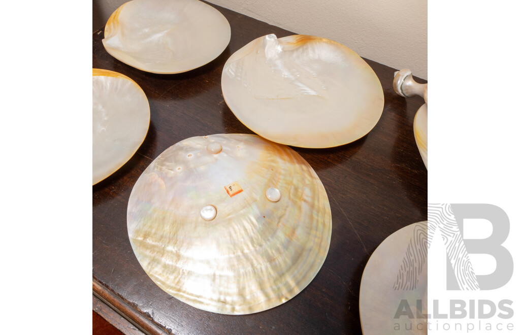 Collection of Eight South Sea Pearl Shell Plates with Ladle