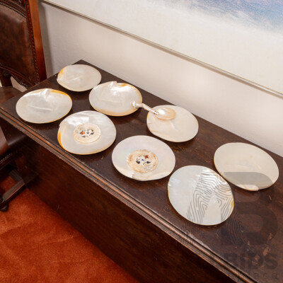 Collection of Eight South Sea Pearl Shell Plates with Ladle