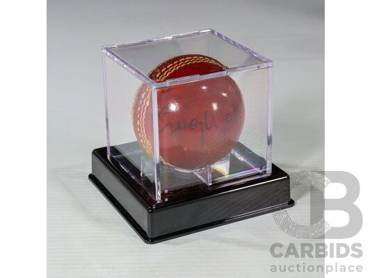 Andy Bichel & Greg Matthews Signed Cricket Ball Collection