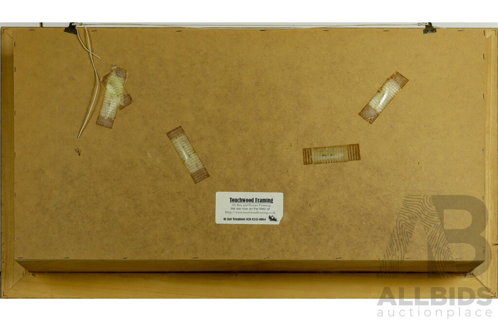 Glenn McGrath Australian Test Cricketer Signed Framed Match-Worn Cricket Spikes