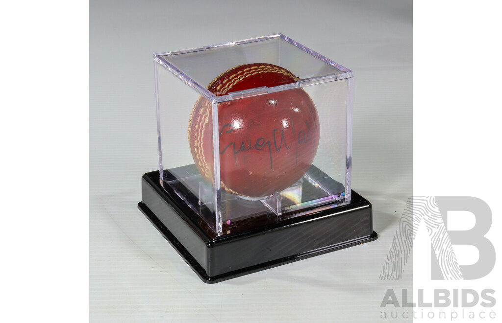 Andy Bichel & Greg Matthews Signed Cricket Ball Collection