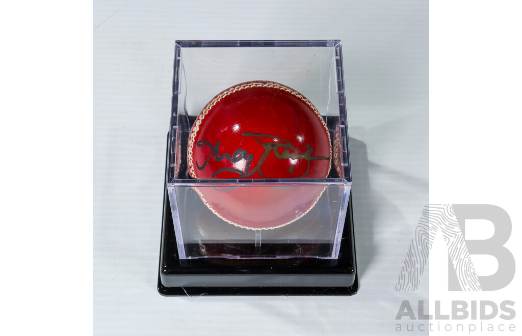 Andy Bichel & Greg Matthews Signed Cricket Ball Collection