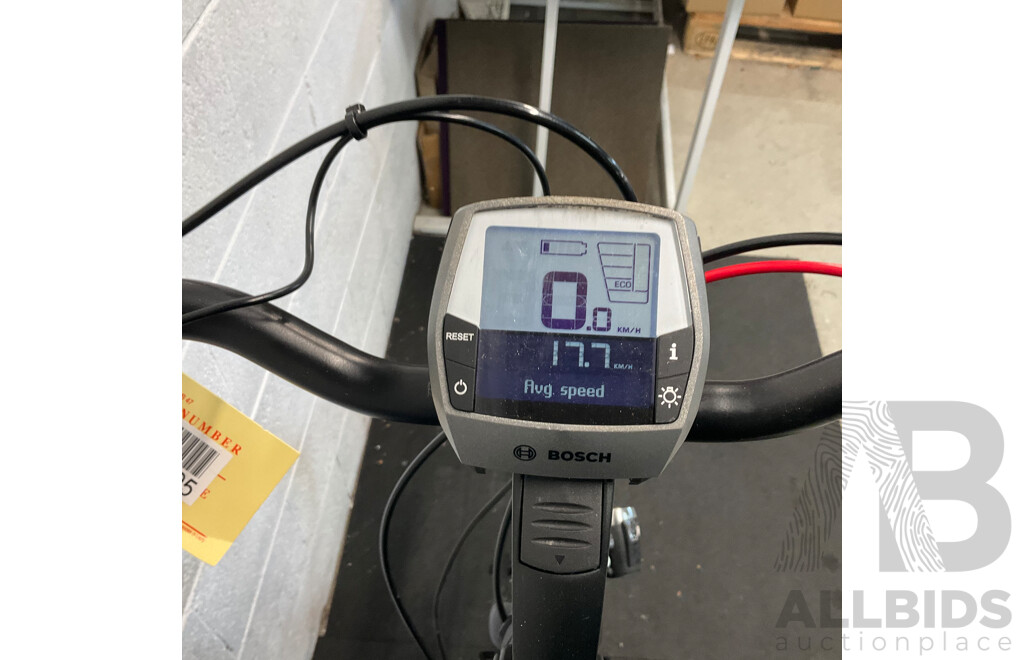 GAZELLE Electric Bike