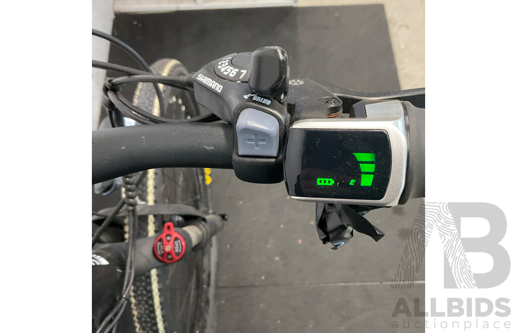 KENDA Electric Bike