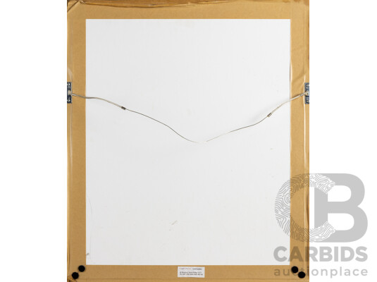 Framed Child Sized Canberra Raiders Jersey