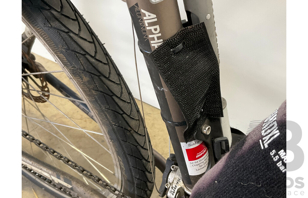 TREK Mountain Bike