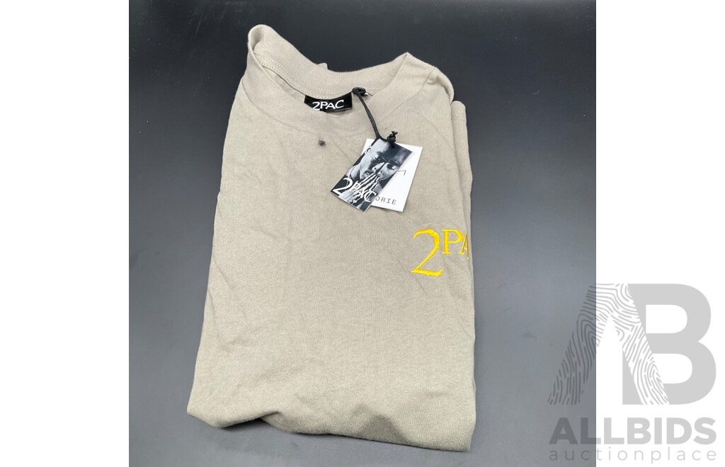 Factorie T-shirt, QUILKSILVER Shorts, RAIDERS Shorts - Lot of 3