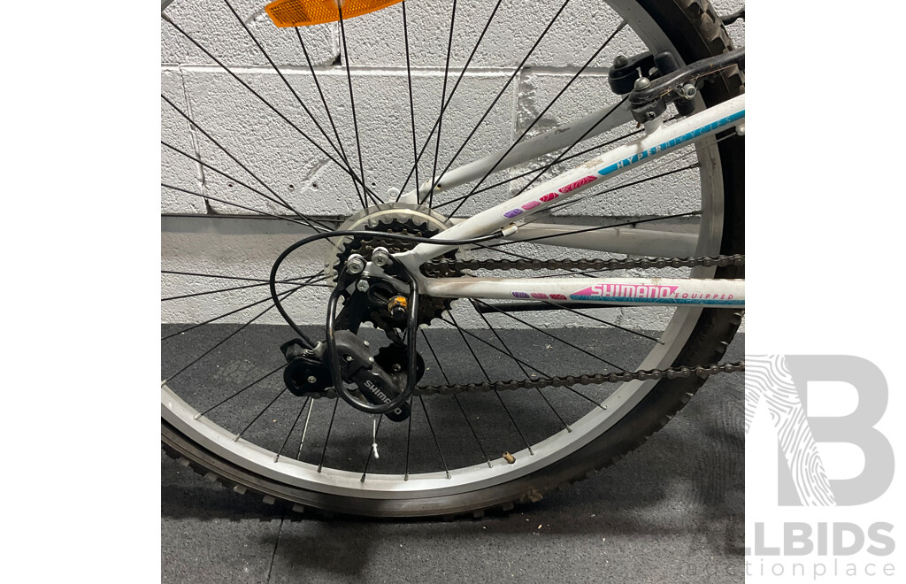 HYPER Steed 66 Mountain Bike