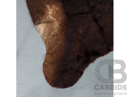 Large Cowhide Rug