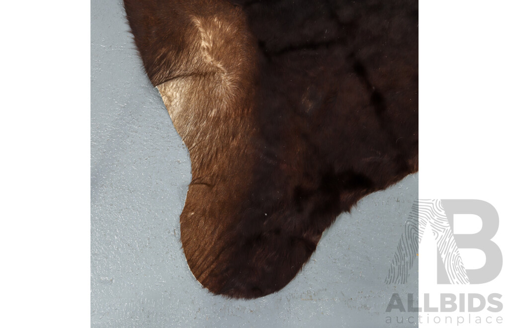 Large Cowhide Rug