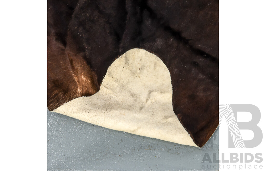 Large Cowhide Rug