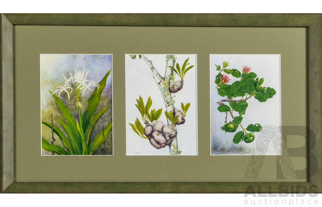 Vintage Botanical Illustration Triptych, Reproduction Colour Prints, 26H x 46W cm (frame)