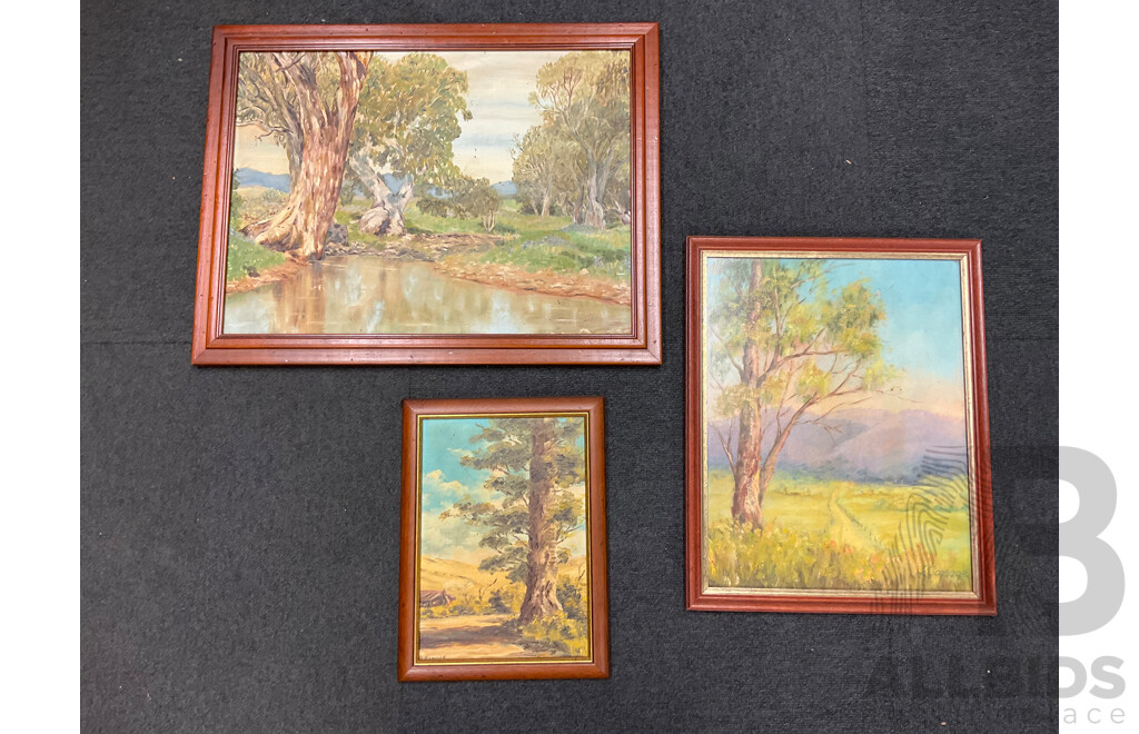 Unknown Artists , Oil on Board - Lot of 3