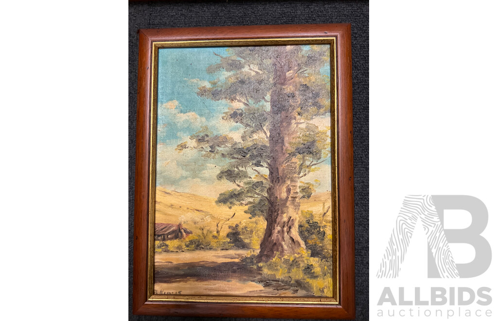 Unknown Artists , Oil on Board - Lot of 3