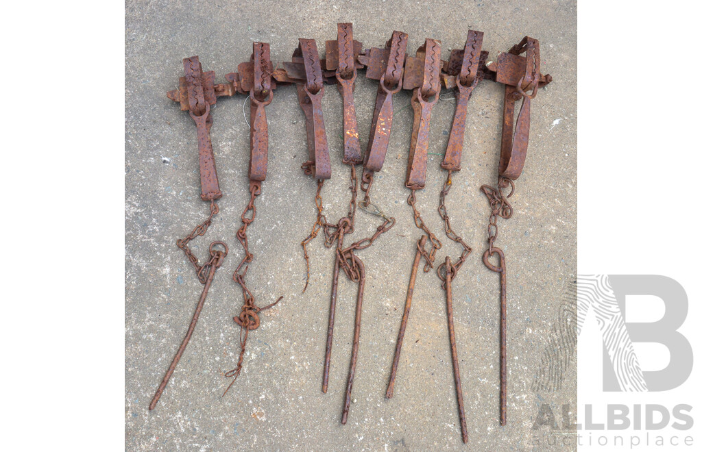Collection of Eight Vintage Metal Rabbit Traps