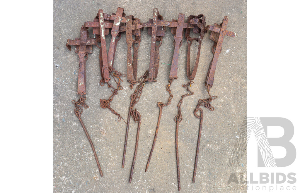 Collection of Eight Vintage Metal Rabbit Traps