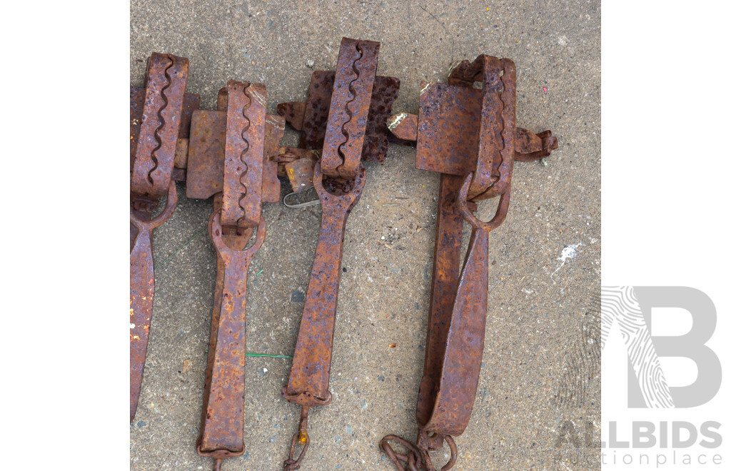Collection of Eight Vintage Metal Rabbit Traps