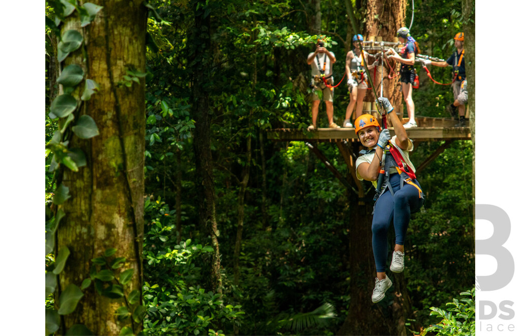 2x Treetops Adventures Vouchers - Valued at $138