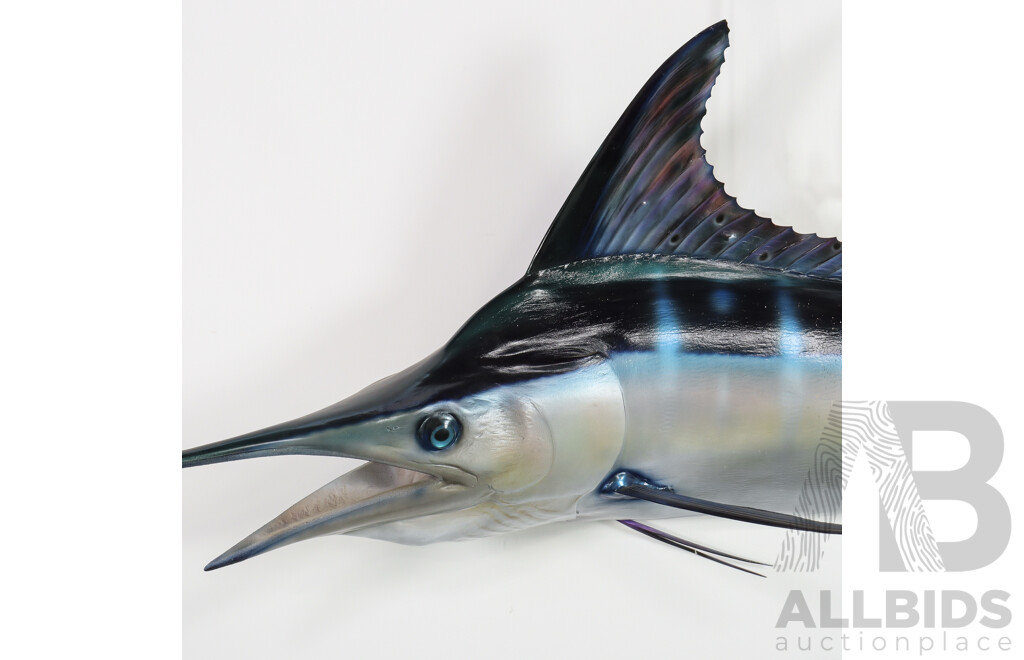 Large Wall Mount Taxidermy Marlin