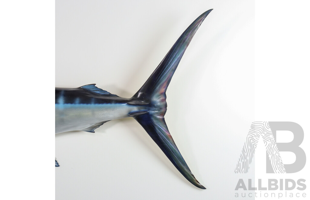Large Wall Mount Taxidermy Marlin