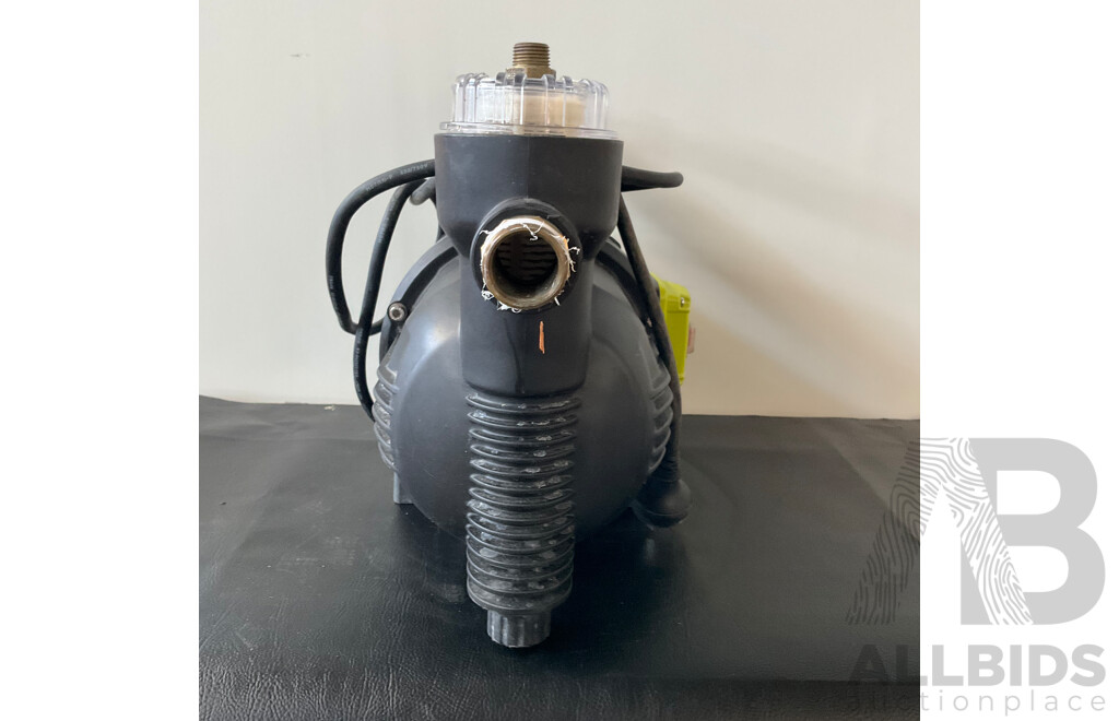 Ryobi 900W Transfer Pump (RTP900)