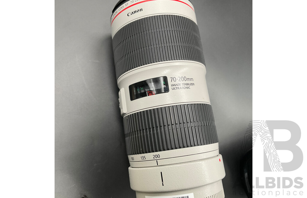 CANON Soft Lens Case, CANON EF 70-200mm Lens - Lot of 2