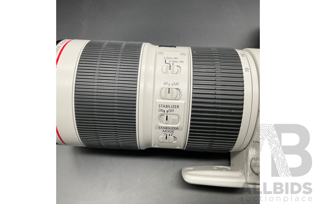 CANON Soft Lens Case, CANON EF 70-200mm Lens - Lot of 2