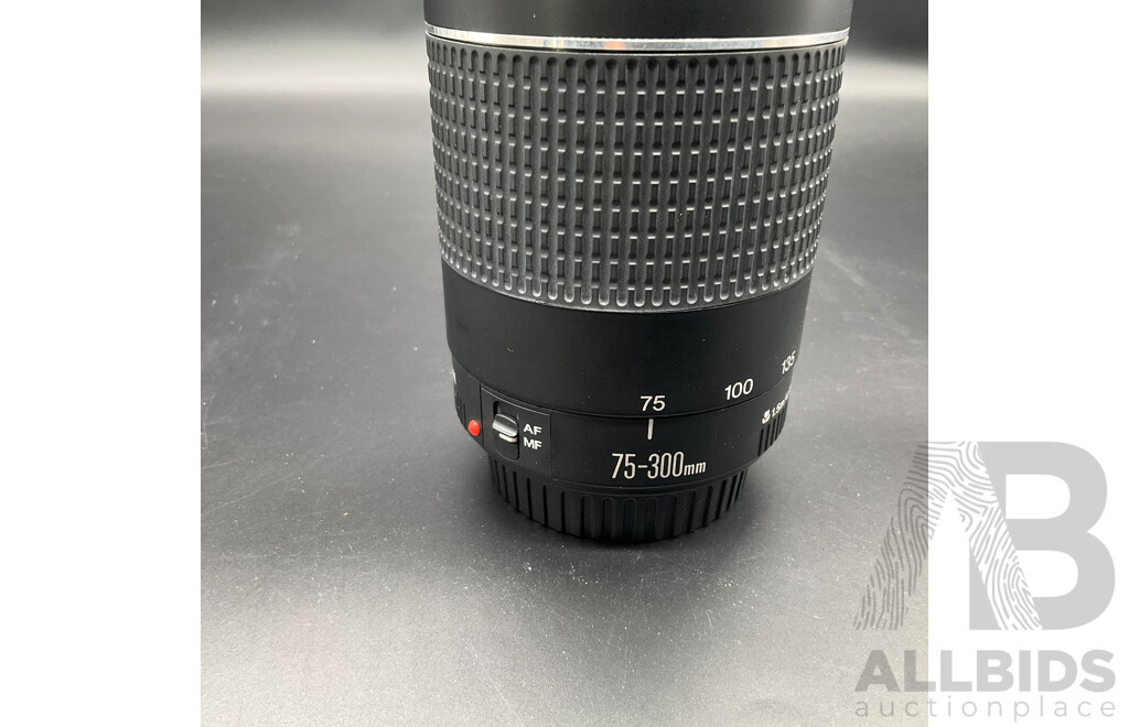 CANON EOS 400D Camera ( DS126151), CANON EF 75-300MM Lens, Other