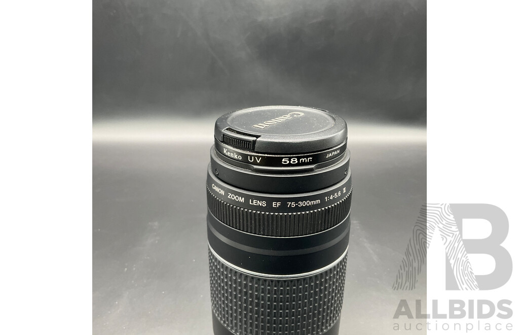 CANON EOS 400D Camera ( DS126151), CANON EF 75-300MM Lens, Other