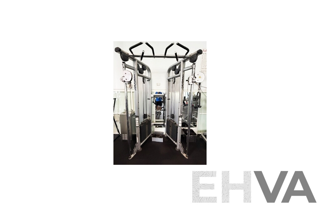 Life Fitness CMDAP Dual Cable Machine