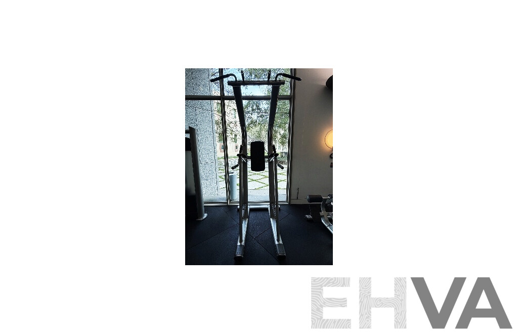 Life Fitness SCDLR Chin/Dip/Leg Raise