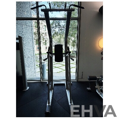 Life Fitness SCDLR Chin/Dip/Leg Raise