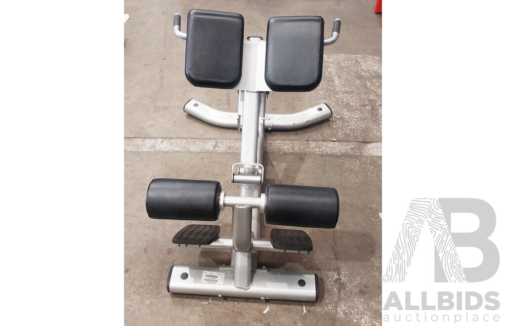 Life Fitness SBE Back Extension