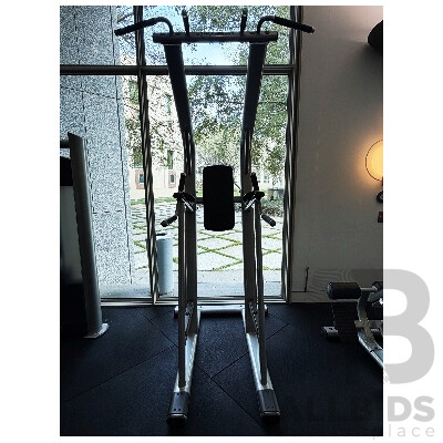 Life Fitness SCDLR Chin/Dip/Leg Raise