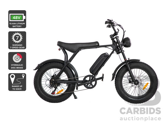 FORTIS FatBro 48V Electric Bike