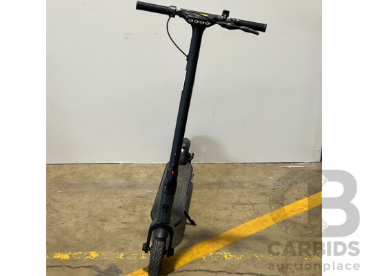 REID Rover Sport 250W Electric Scooter