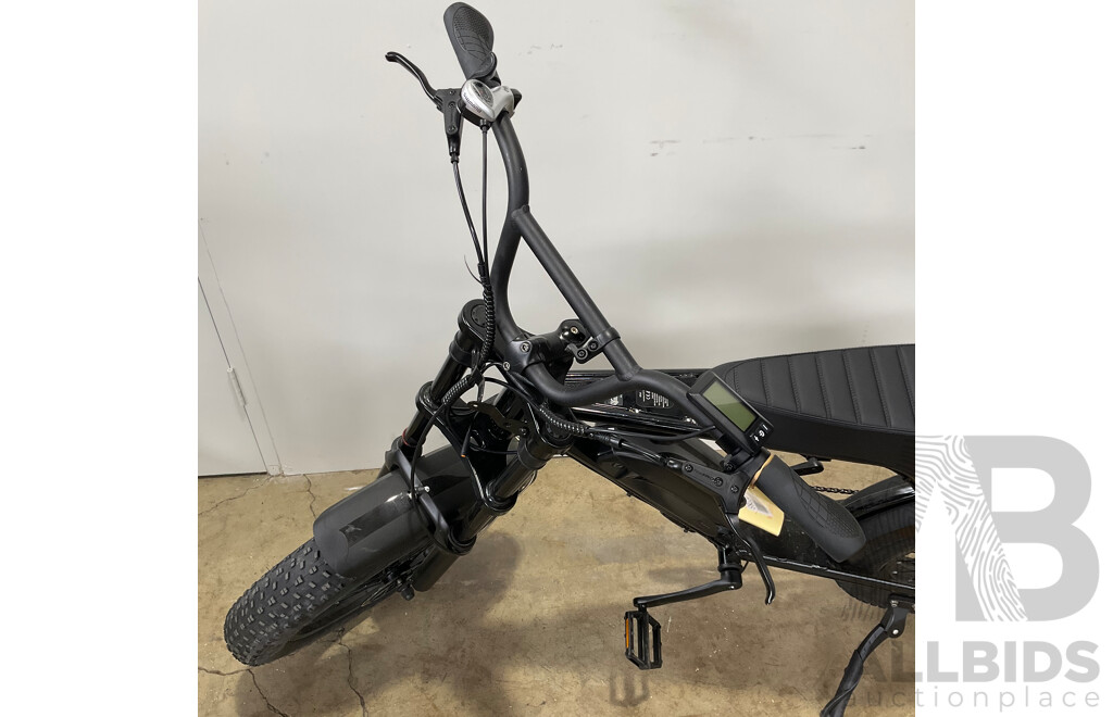 FORTIS FatBro 48V Electric Bike
