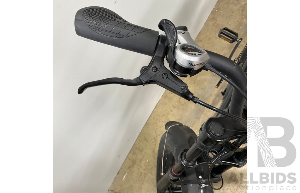 FORTIS FatBro 48V Electric Bike