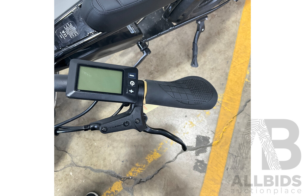 FORTIS FatBro 48V Electric Bike