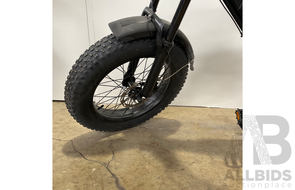 FORTIS FatBro 48V Electric Bike