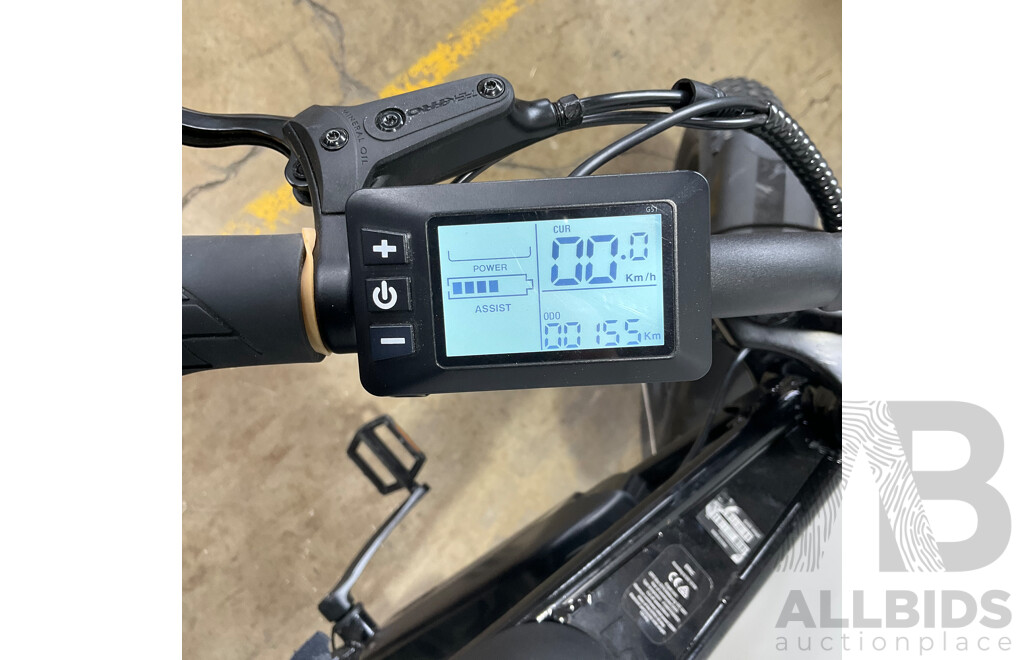 FORTIS FatBro 48V Electric Bike
