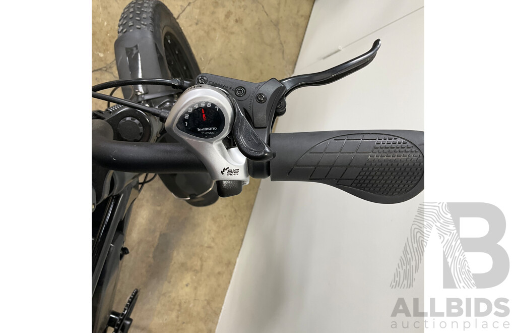FORTIS FatBro 48V Electric Bike