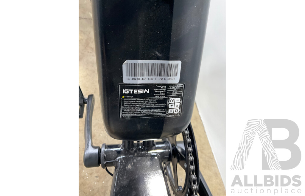 FORTIS FatBro 48V Electric Bike
