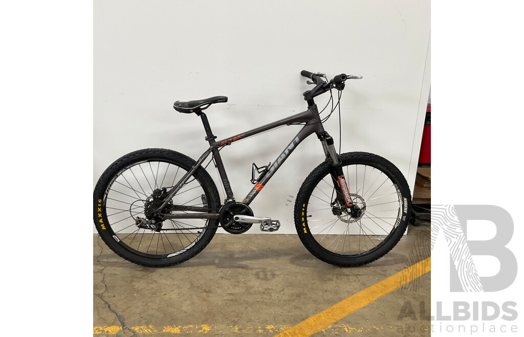 GIANT Revel Mountain Bike